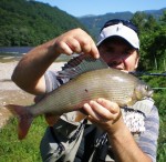 lipljan Drina Nesa web.jpg